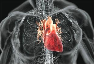 Boli cardiovasculare